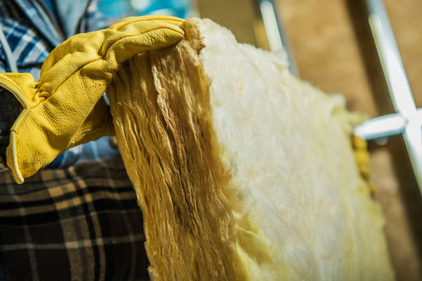 Best Insulation Maintenance and Repair in Magnolia, OH